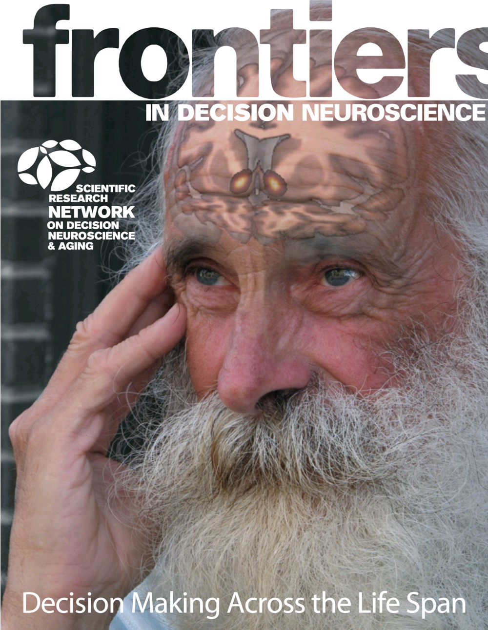 cover_frontiers-in-decision-neuroscience.png