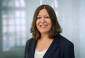 Professor Merih Sevilir, PhD